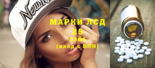 ГАЛЛЮЦИНОГЕННЫЕ ГРИБЫ Белокуриха