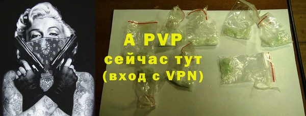 ГАЛЛЮЦИНОГЕННЫЕ ГРИБЫ Белокуриха