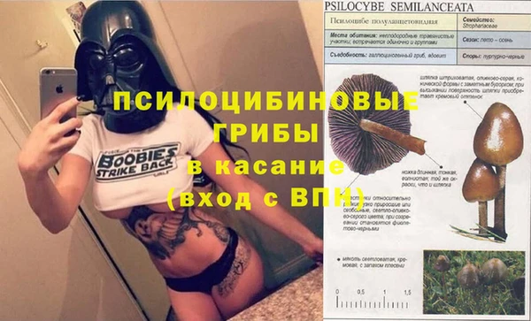 2c-b Белоозёрский