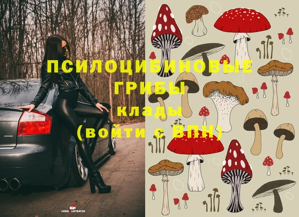 спайс Беломорск