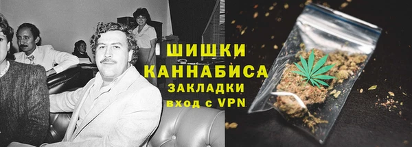 ГАЛЛЮЦИНОГЕННЫЕ ГРИБЫ Белокуриха